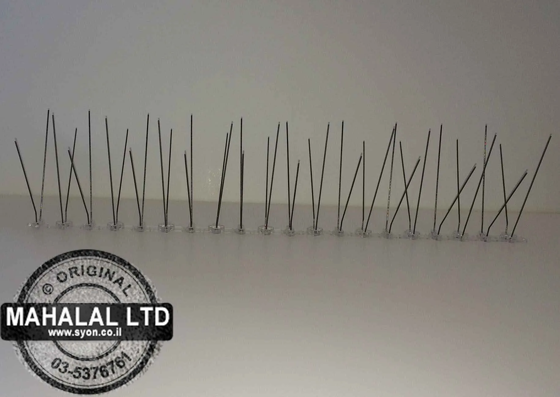 דוקרנים נגד יונים